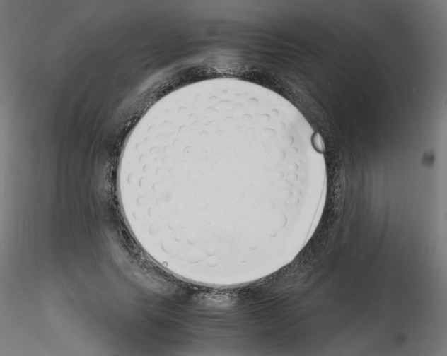 X0000115540639200912181530