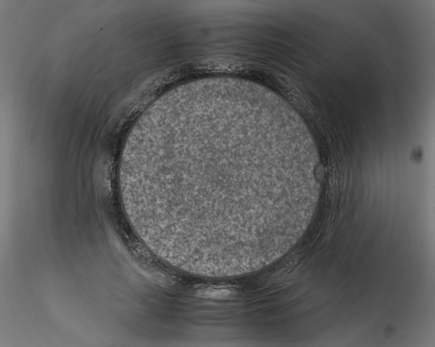 X0000115540643200912181530