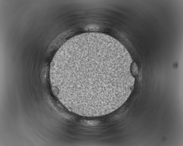 X0000115540645200912181530