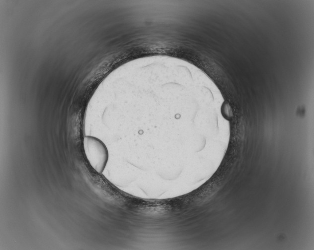 X0000115540646200912181530