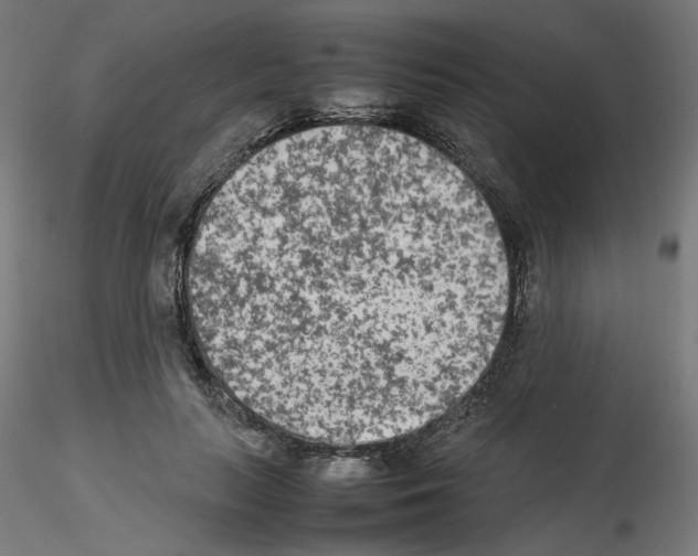 X0000115540647200912181530