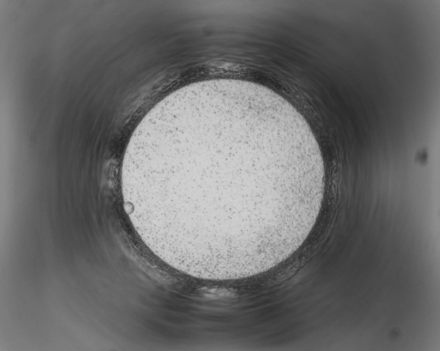 X0000115540649200912181530