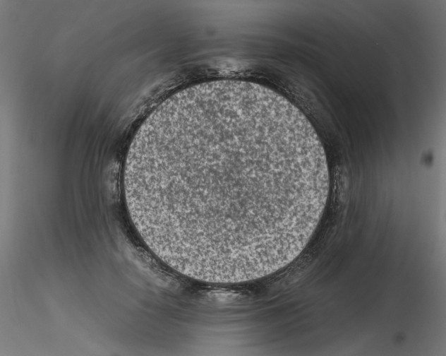 X0000115540650200912181530