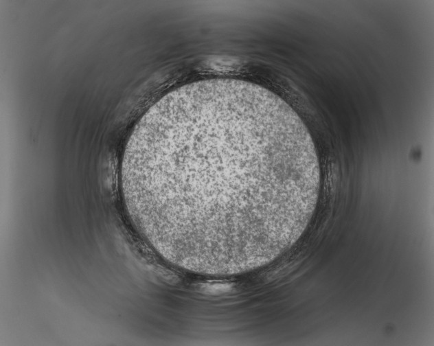 X0000115540651200912181530