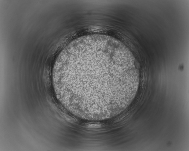 X0000115540653200912181530