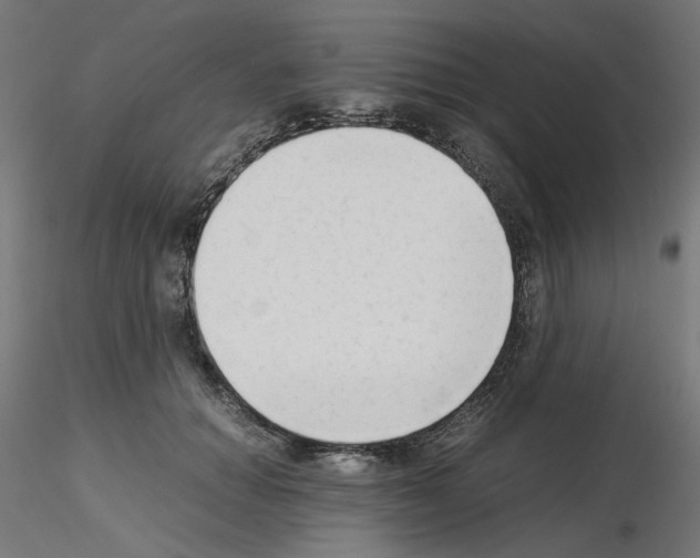 X0000115540654200912181530