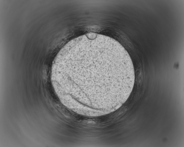 X0000115540655200912181530