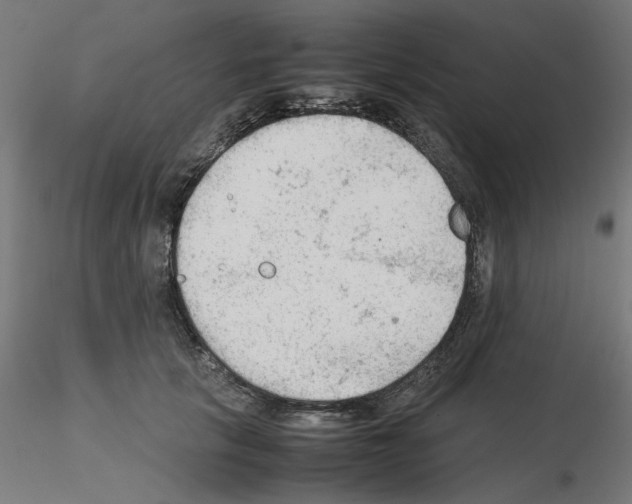 X0000115540657200912181530