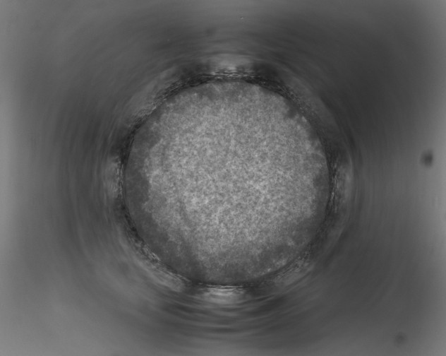 X0000115540659200912181530