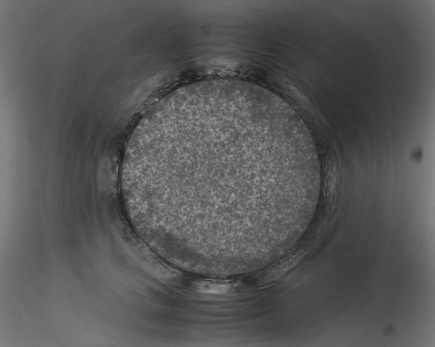 X0000115540661200912181530