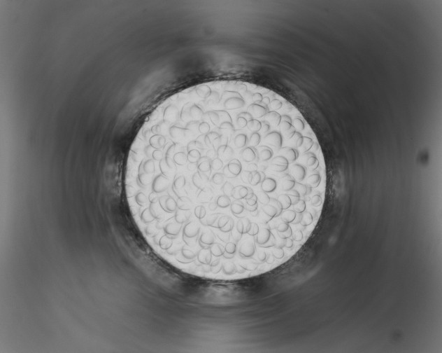 X0000115540666200912181530