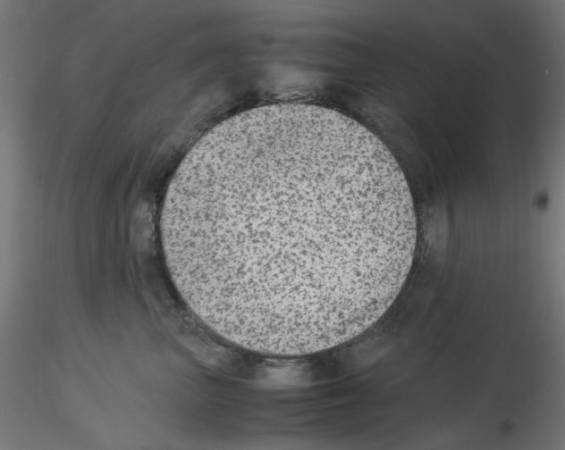 X0000115540667200912181530