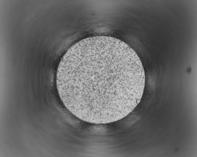 X0000115540668200912181530
