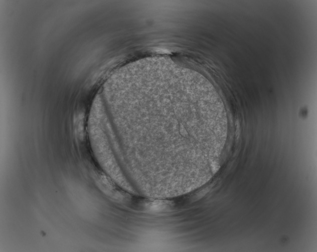 X0000115540670200912181530