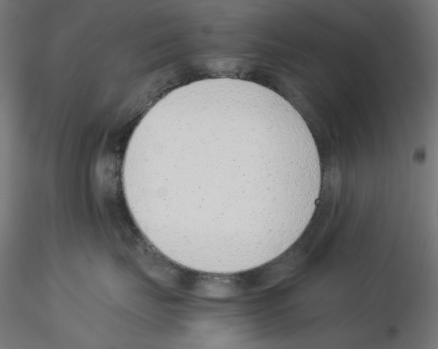 X0000115540671200912181530