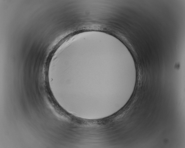 X0000115540674200912181530