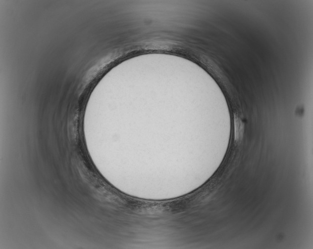 X0000115540675200912181530