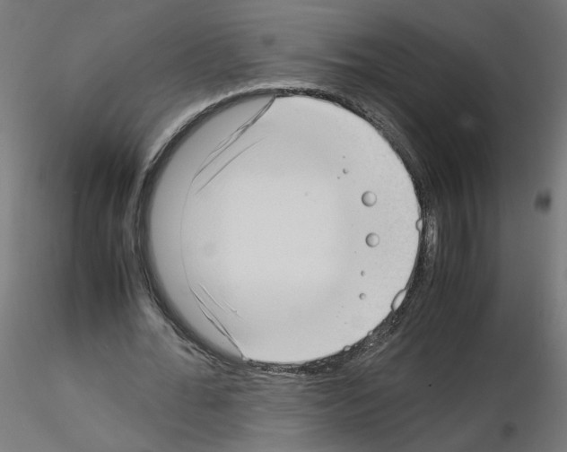 X0000115540676200912181530