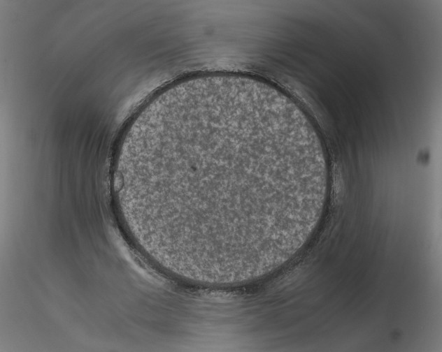 X0000115540677200912181530