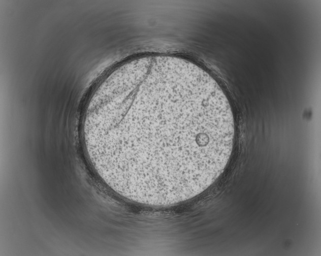X0000115540679200912181529
