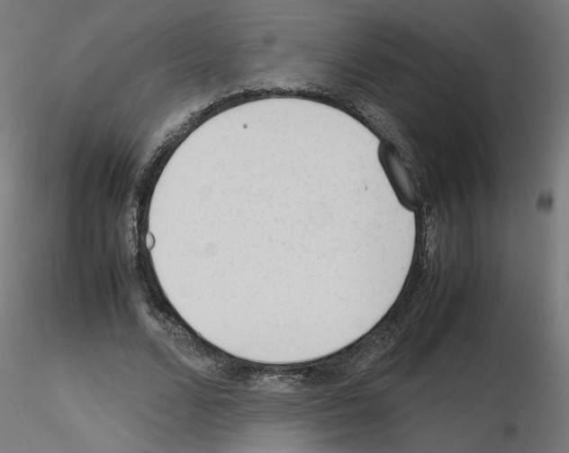 X0000115540680200912181529