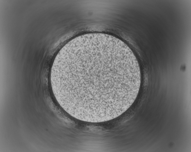 X0000115540681200912181529