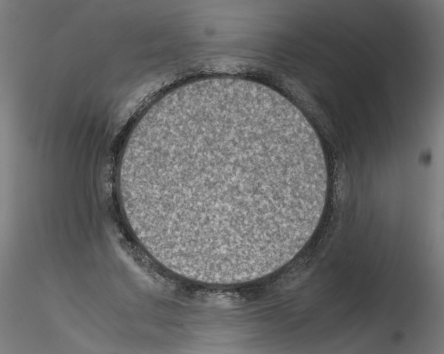 X0000115540683200912181529