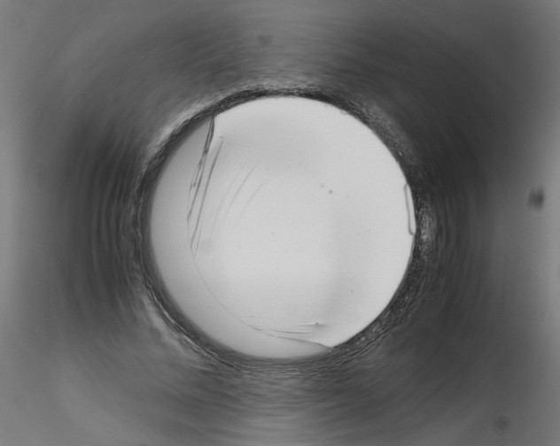 X0000115540684200912181529