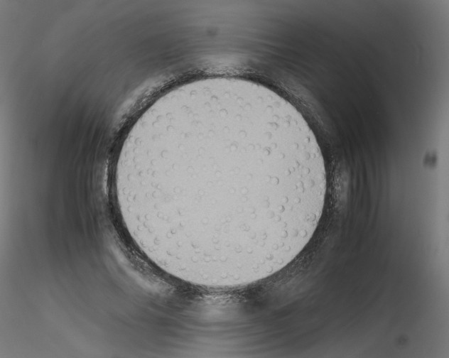 X0000115540686200912181529