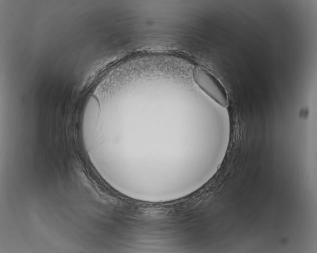 X0000115540688200912181529