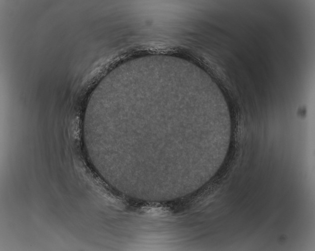 X0000115540689200912181529