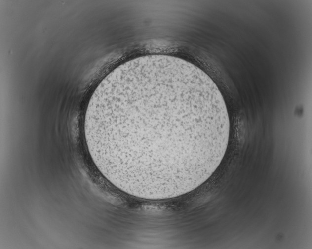 X0000115540690200912181529