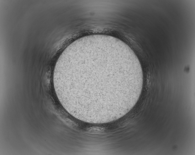 X0000115540691200912181529