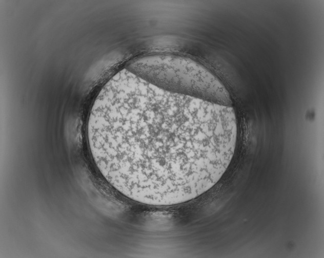 X0000115540692200912181529