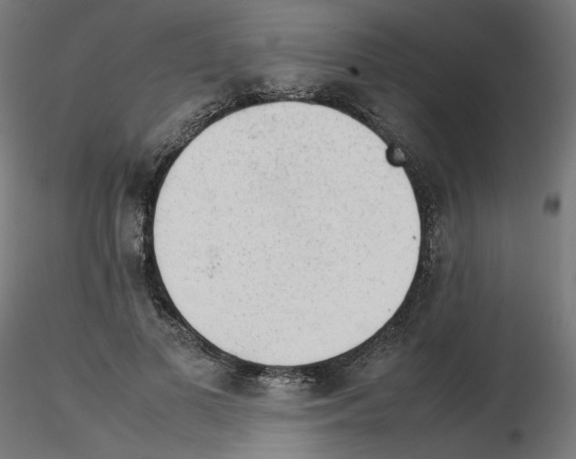 X0000115540693200912181529