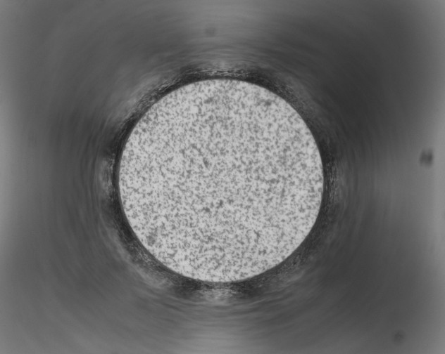 X0000115540695200912181529