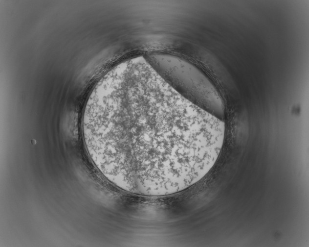 X0000115540696200912181529