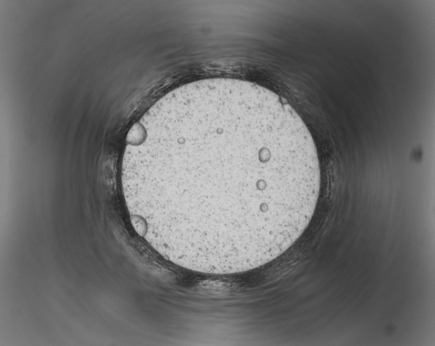 X0000115540699200912181529