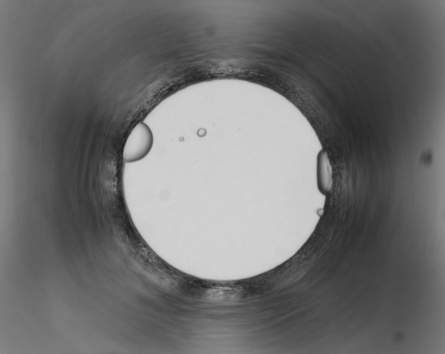 X0000115540700200912181529