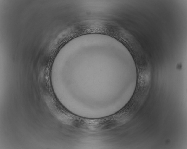 X0000115540701200912181529