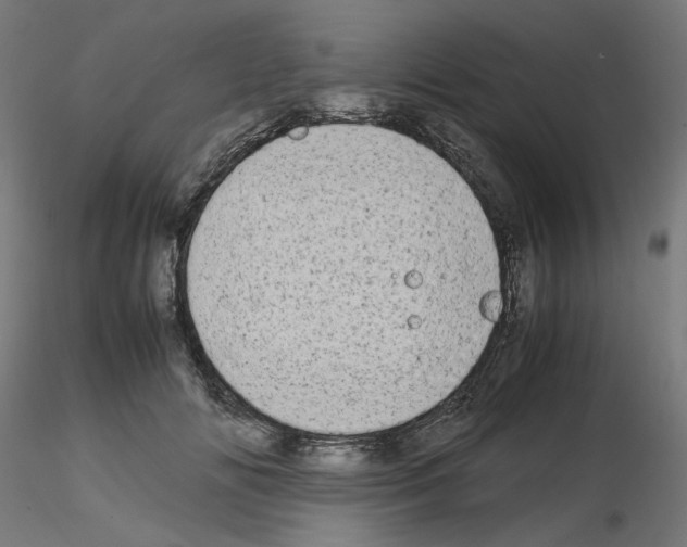 X0000115540702200912181529