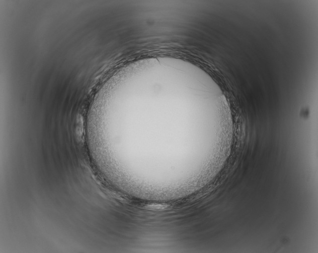 X0000115540704200912181529