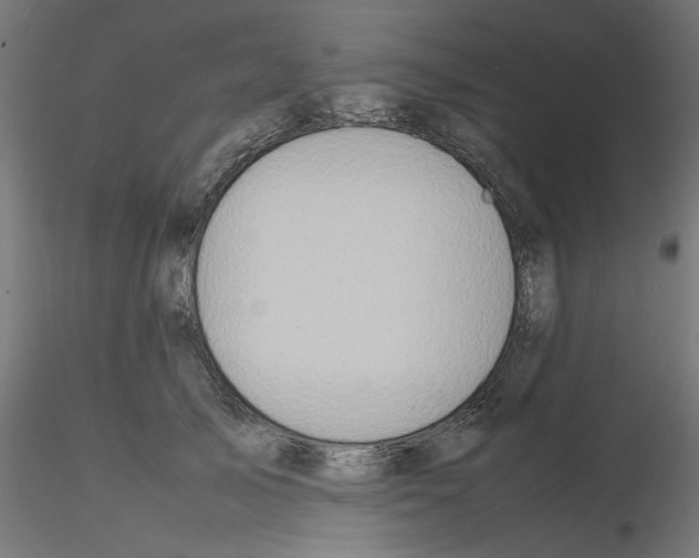 X0000115540705200912181529