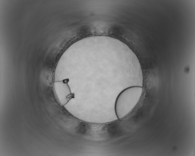 X0000115540709200912181529
