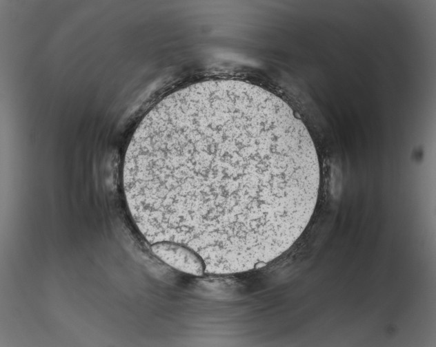 X0000115540712200912181529