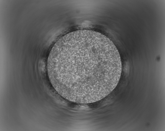 X0000115540715200912181529