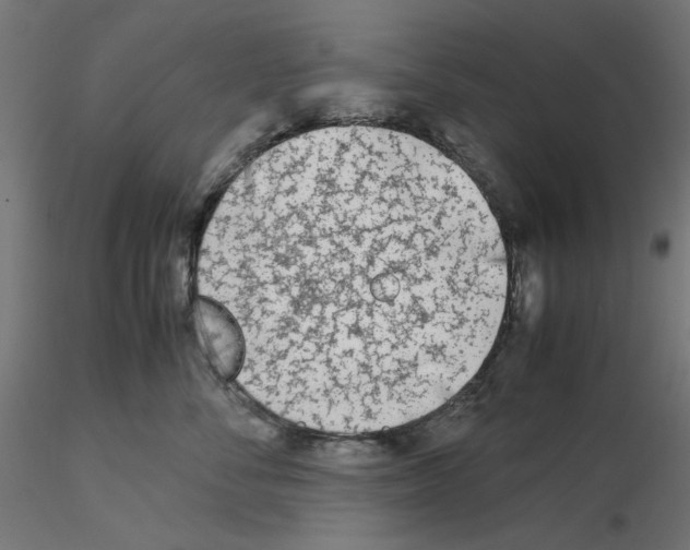 X0000115540716200912181529