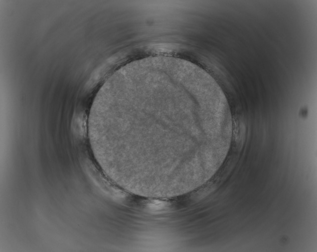 X0000115540718200912181529