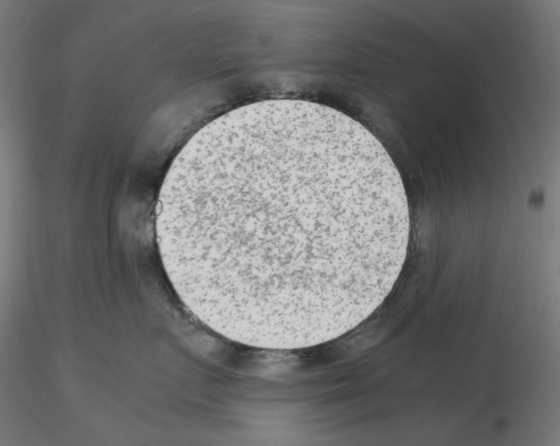 X0000115540719200912181529