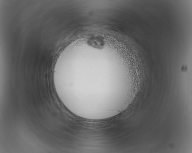 X0000115540720200912181529